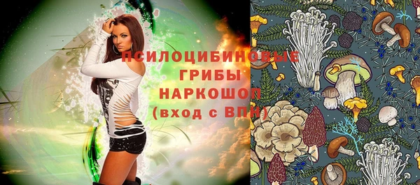 прущий лед Аркадак